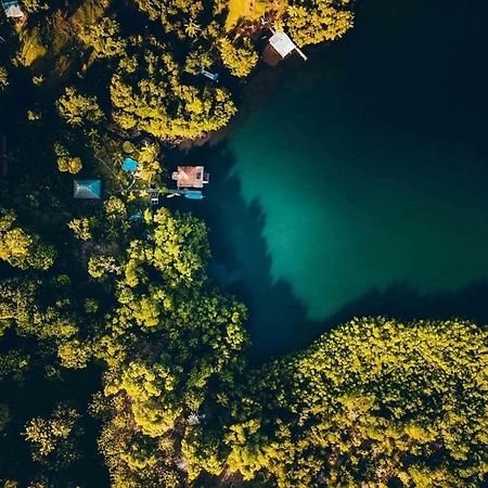 Dolphin Bay Hideaway Bed and Breakfast Bocas del Toro Buitenkant foto