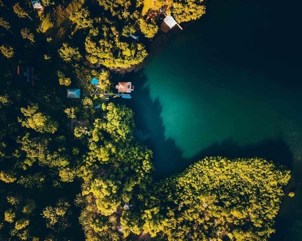 Dolphin Bay Hideaway Bed and Breakfast Bocas del Toro Buitenkant foto