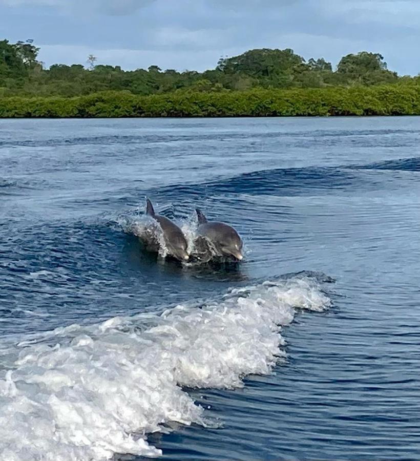 Dolphin Bay Hideaway Bed and Breakfast Bocas del Toro Buitenkant foto