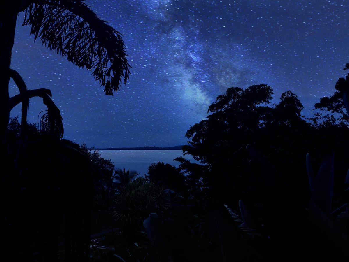 Dolphin Bay Hideaway Bed and Breakfast Bocas del Toro Buitenkant foto