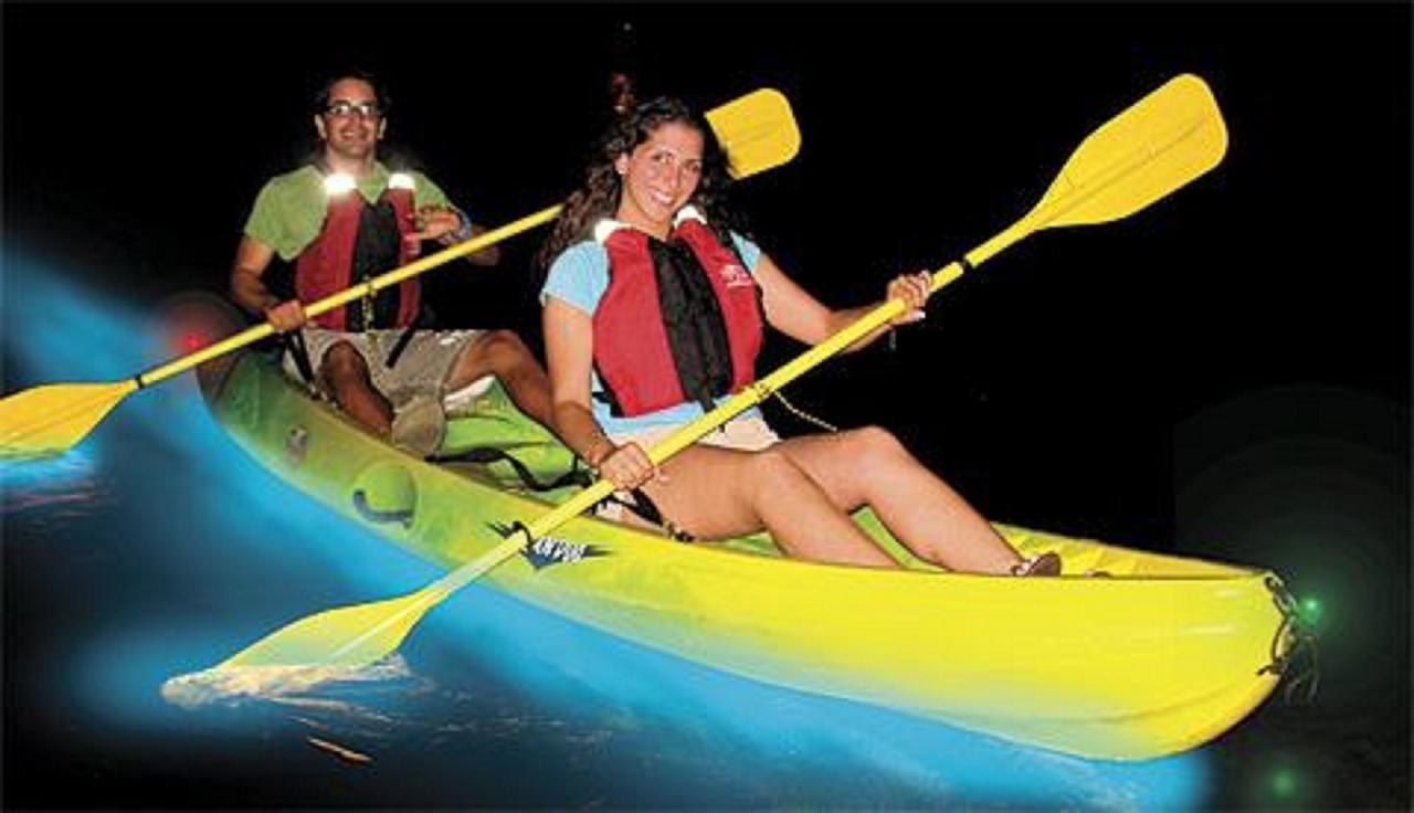 Dolphin Bay Hideaway Bed and Breakfast Bocas del Toro Buitenkant foto