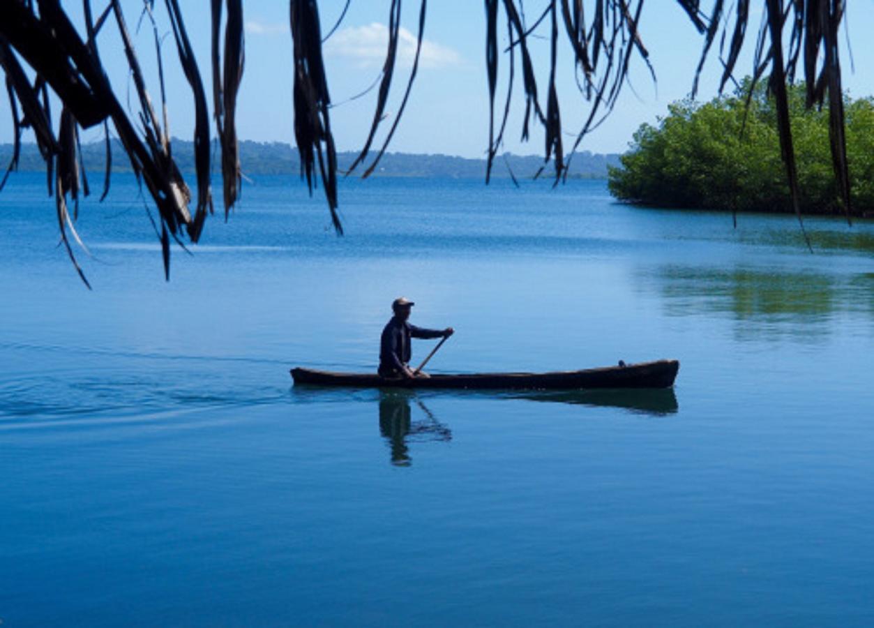 Dolphin Bay Hideaway Bed and Breakfast Bocas del Toro Buitenkant foto