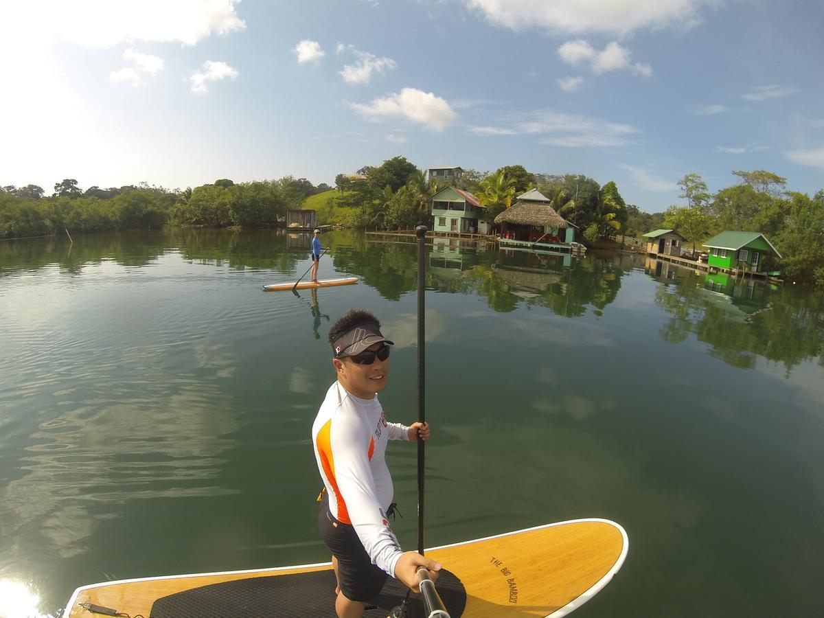Dolphin Bay Hideaway Bed and Breakfast Bocas del Toro Buitenkant foto