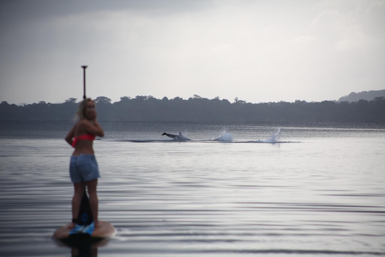 Dolphin Bay Hideaway Bed and Breakfast Bocas del Toro Buitenkant foto