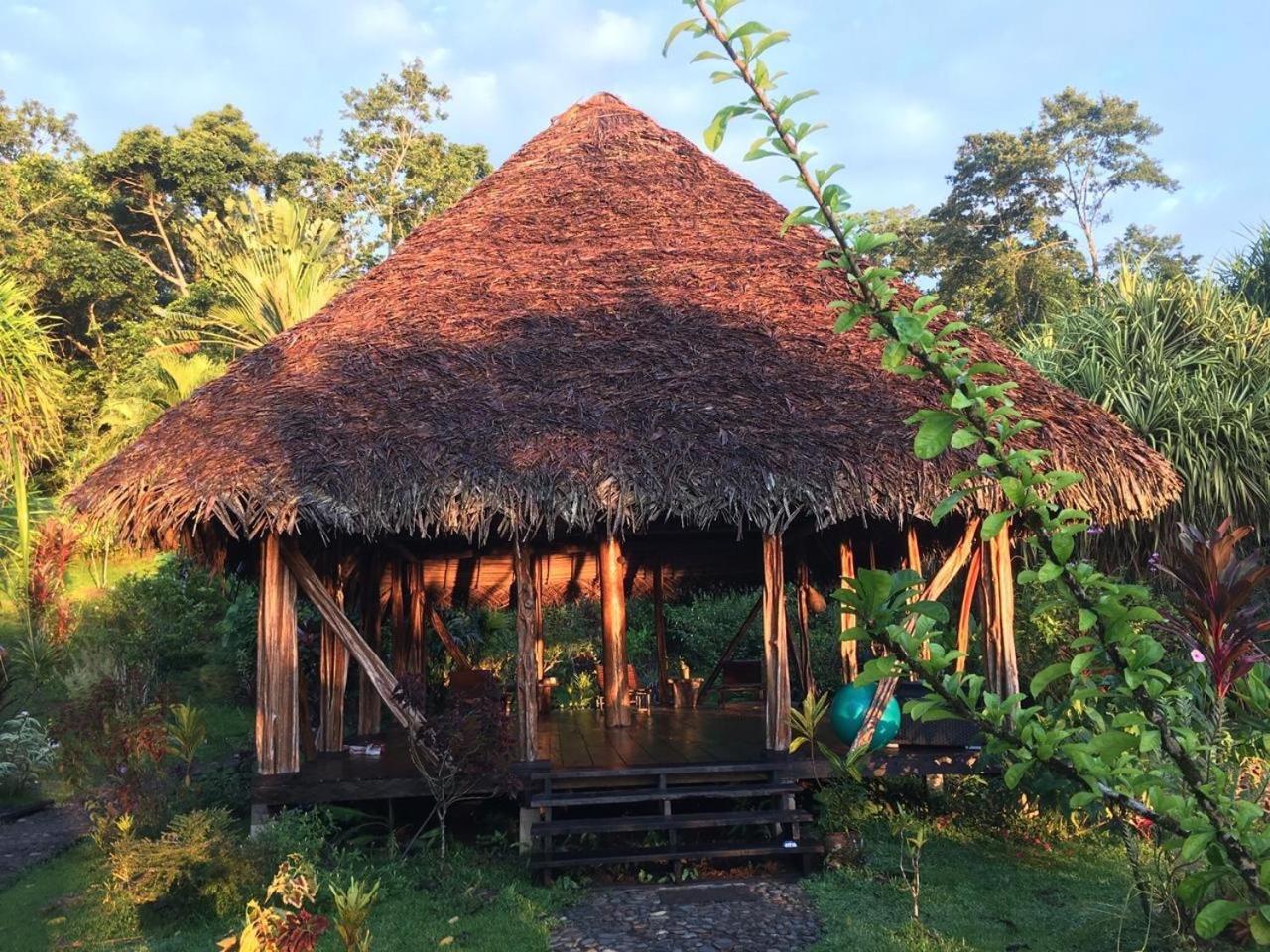 Dolphin Bay Hideaway Bed and Breakfast Bocas del Toro Buitenkant foto