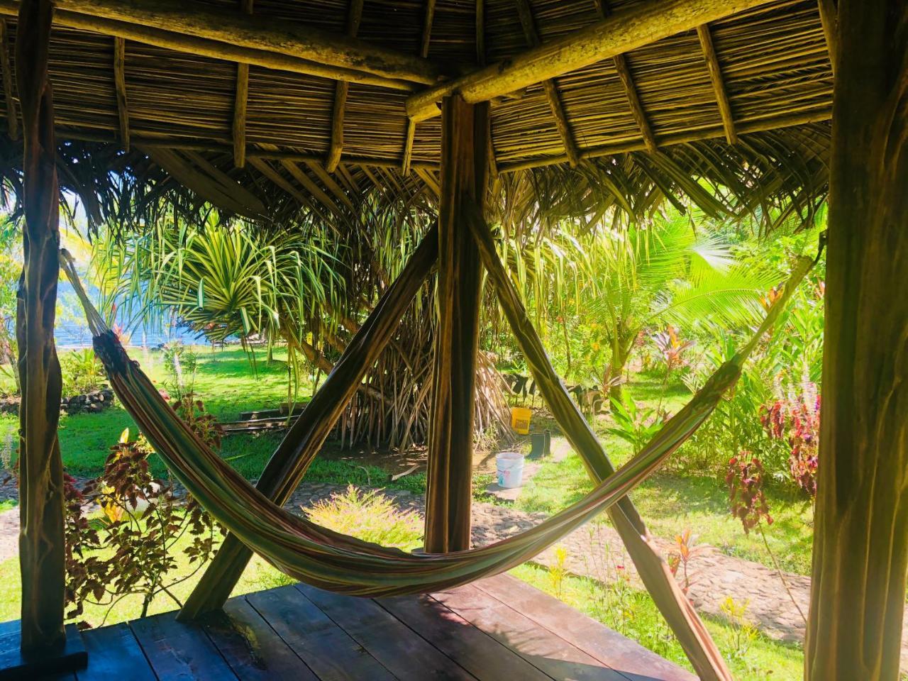 Dolphin Bay Hideaway Bed and Breakfast Bocas del Toro Buitenkant foto