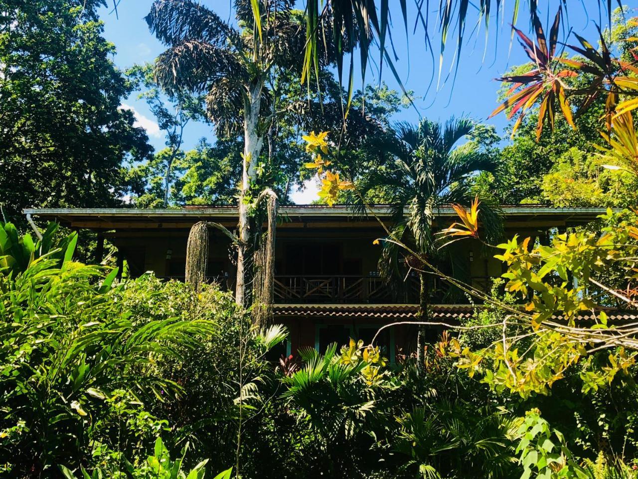 Dolphin Bay Hideaway Bed and Breakfast Bocas del Toro Buitenkant foto