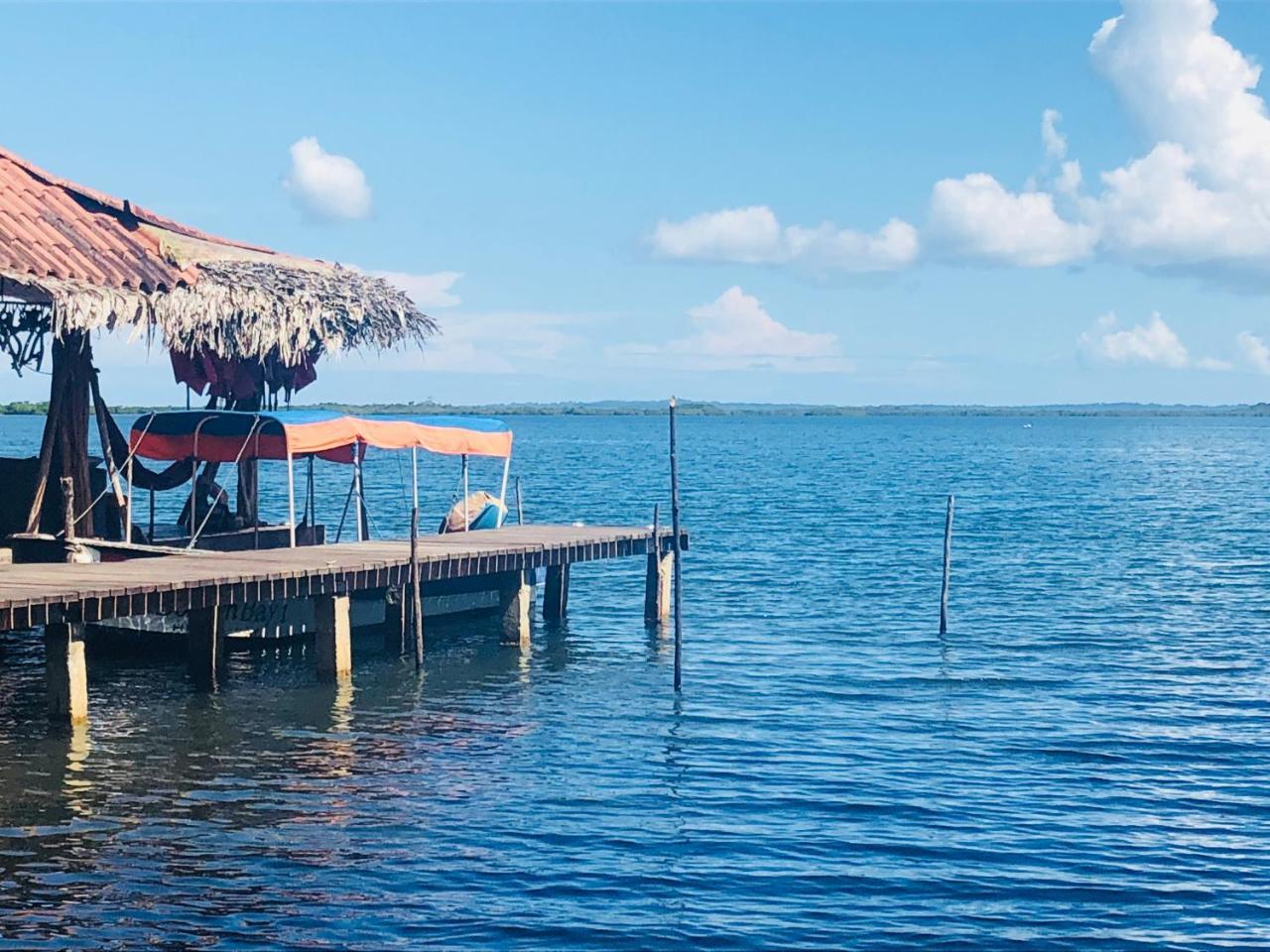 Dolphin Bay Hideaway Bed and Breakfast Bocas del Toro Buitenkant foto