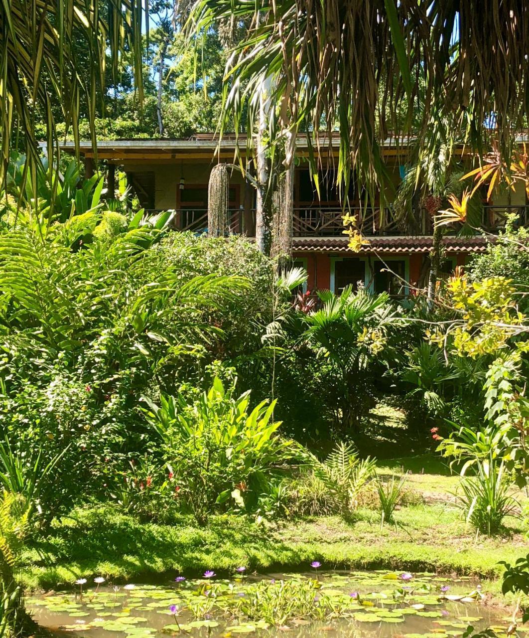 Dolphin Bay Hideaway Bed and Breakfast Bocas del Toro Buitenkant foto