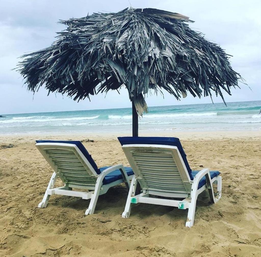 Dolphin Bay Hideaway Bed and Breakfast Bocas del Toro Buitenkant foto