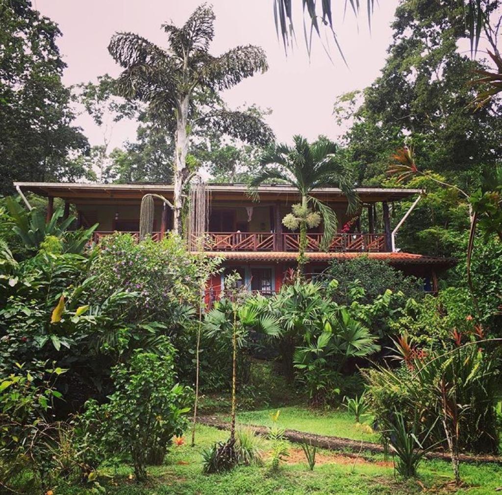 Dolphin Bay Hideaway Bed and Breakfast Bocas del Toro Buitenkant foto