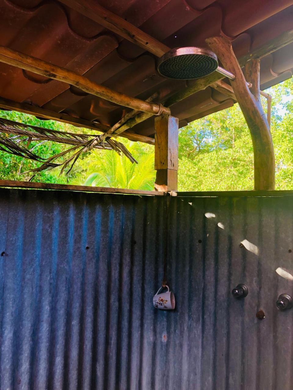 Dolphin Bay Hideaway Bed and Breakfast Bocas del Toro Buitenkant foto
