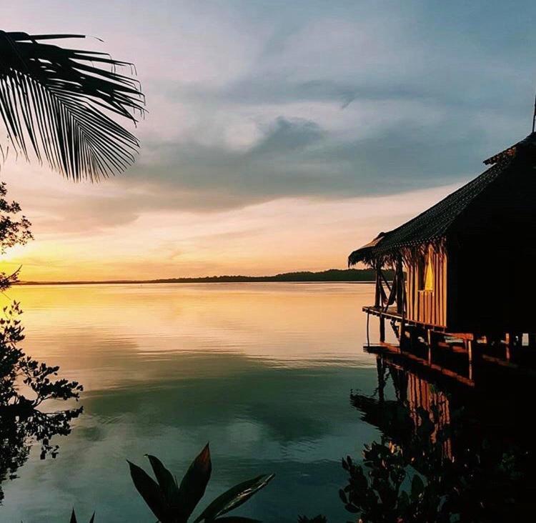 Dolphin Bay Hideaway Bed and Breakfast Bocas del Toro Buitenkant foto