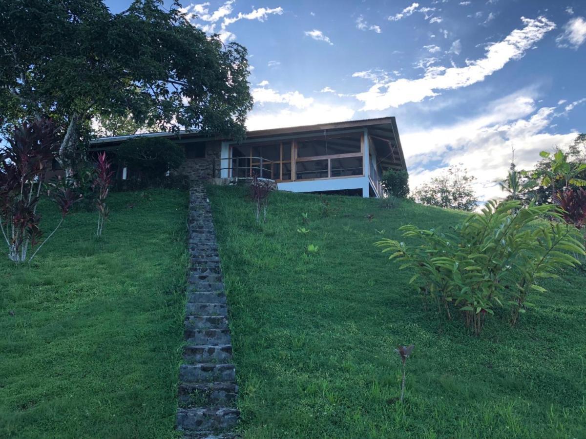 Dolphin Bay Hideaway Bed and Breakfast Bocas del Toro Buitenkant foto